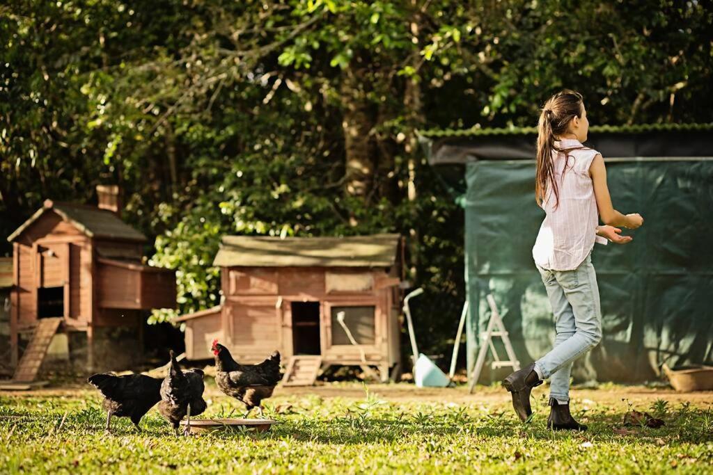 Pinbarren Green Lodges Noosa ภายนอก รูปภาพ