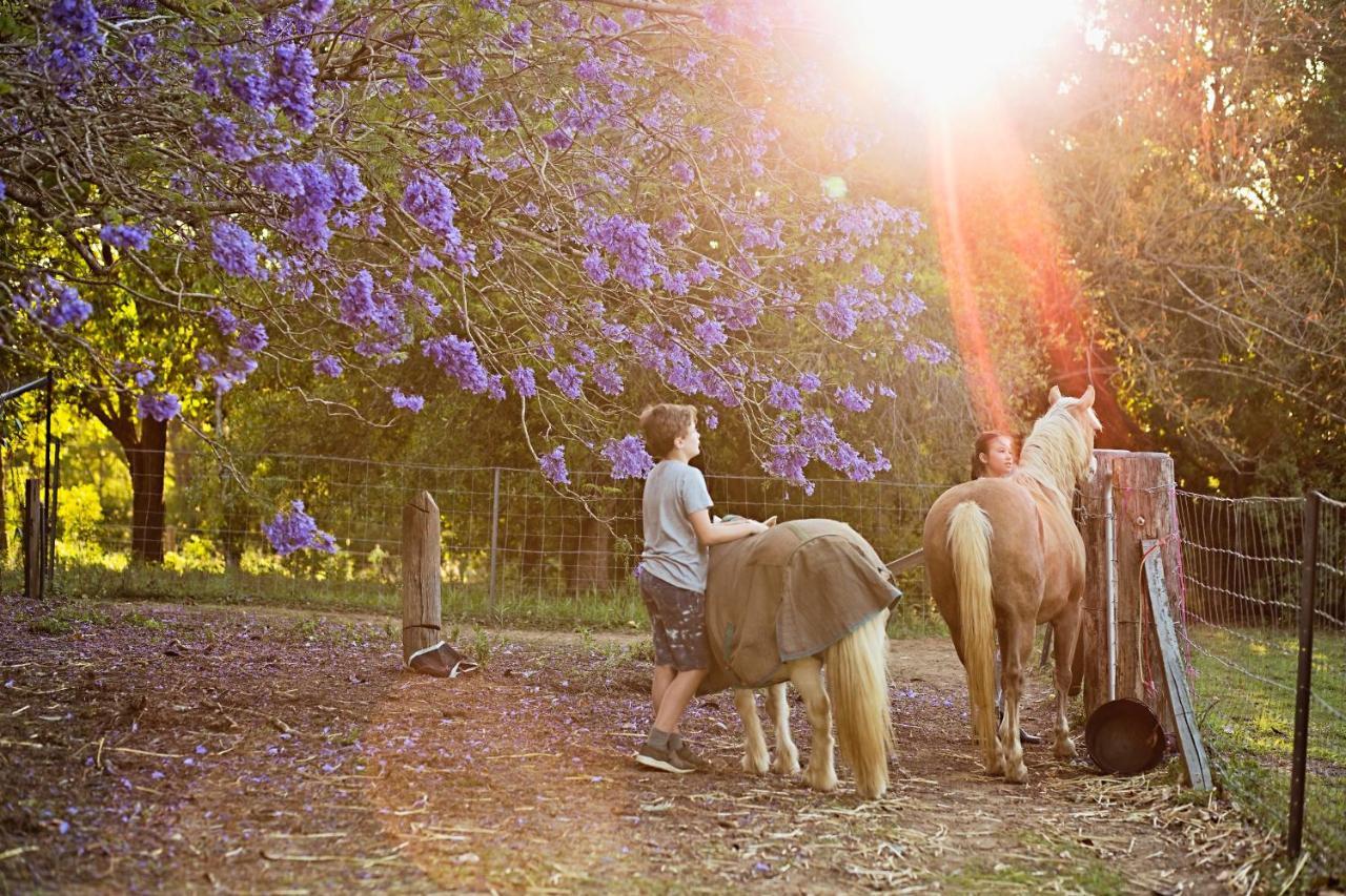 Pinbarren Green Lodges Noosa ภายนอก รูปภาพ